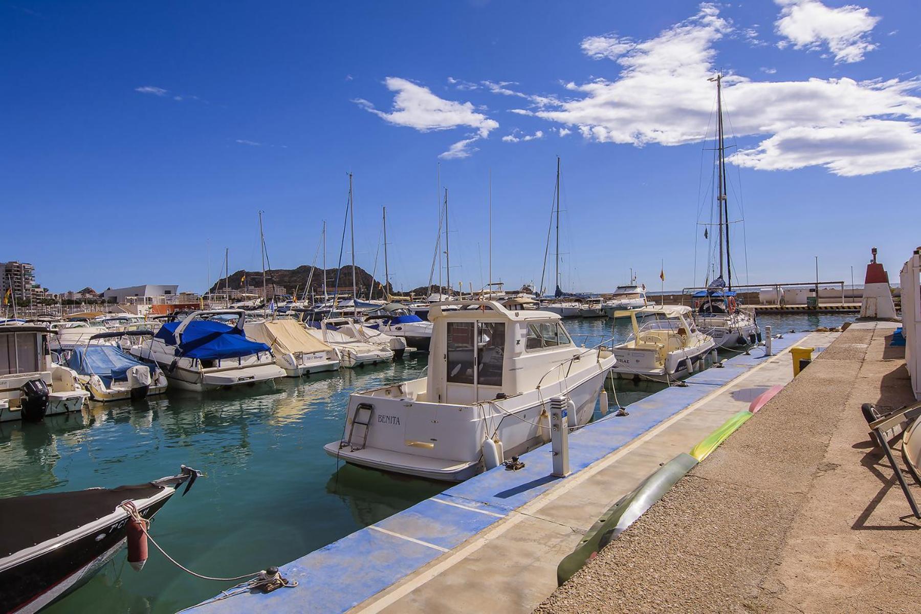 Aguilas Delicias Piscina Wifi Ac Parking Gratis Eksteriør billede