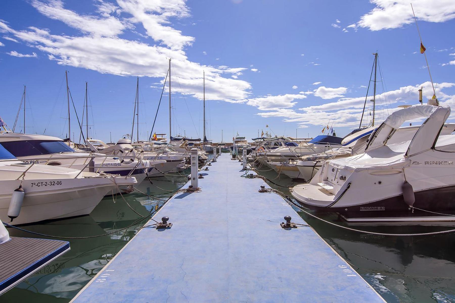 Aguilas Delicias Piscina Wifi Ac Parking Gratis Eksteriør billede